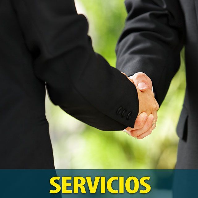 Servicios